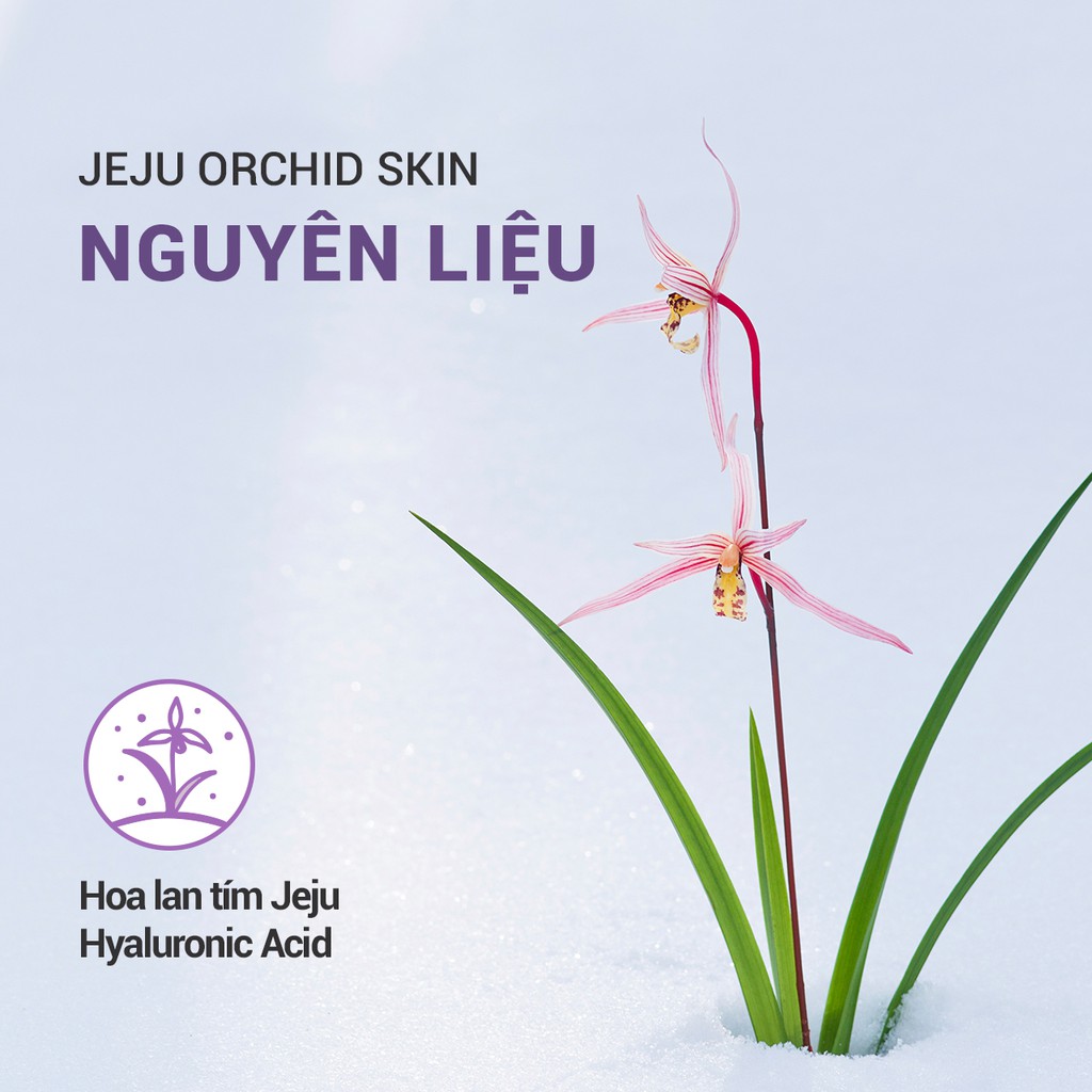 [Mã FMCGMF11 giảm 8% đơn 250K] Nước cân bằng chống lão hóa hoa lan tím Innisfree Jeju Orchid Skin 200ml