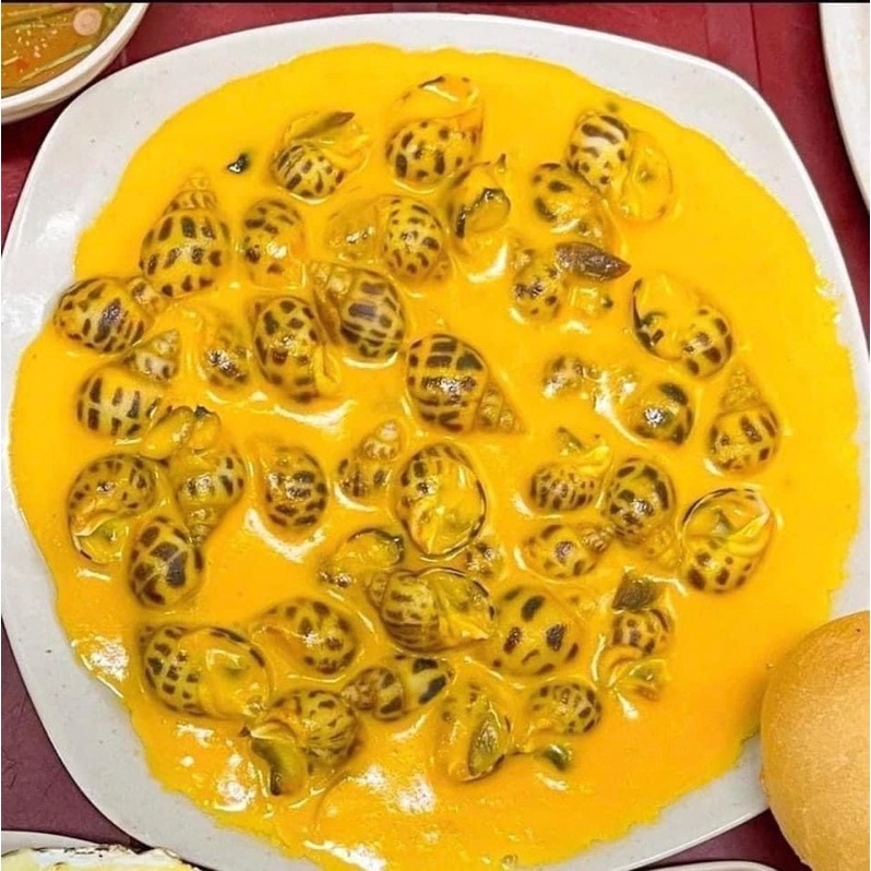 SỐT TRỨNG MUỐI PHÔ MAI CÔNG THỨC NHÀ HÀNG hũ 400gram