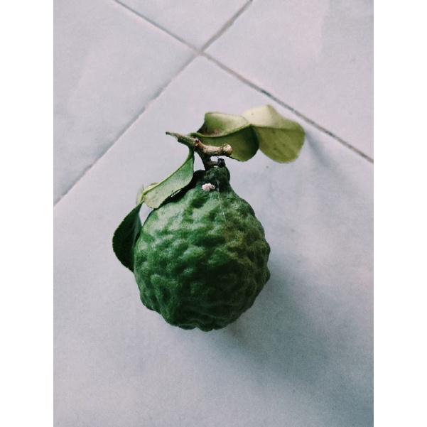 Trái chúc 0,5kg giá 50k. Trái chanh thái. Trái chanh não người