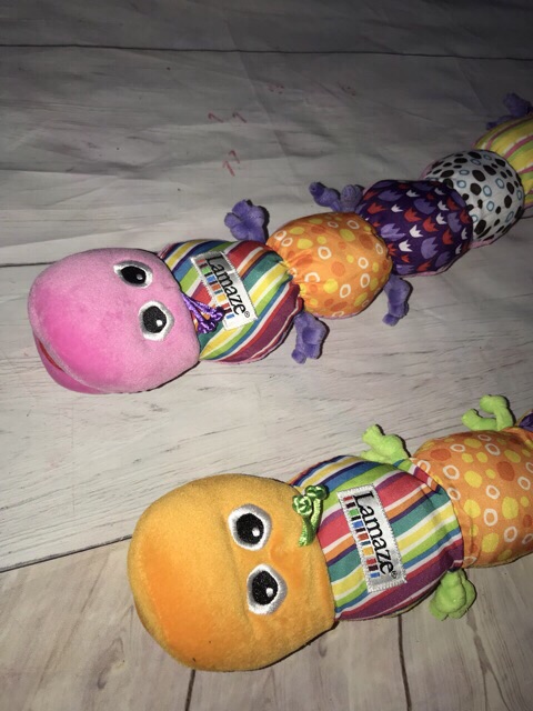 Sâu lamaze đo chiều cao cho bé