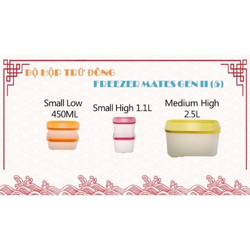 Hộp Trữ Đông cao cấp 450ml Freezermate Gen II đông dẻo tupperware