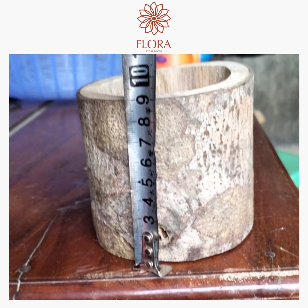 Chậu khúc gỗ tự nhiên dùng trồng cây sen đá tiểu cảnh  đế nến decor trang trí vintage FLORA DECOR