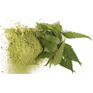 Bột lá neem - 100g
