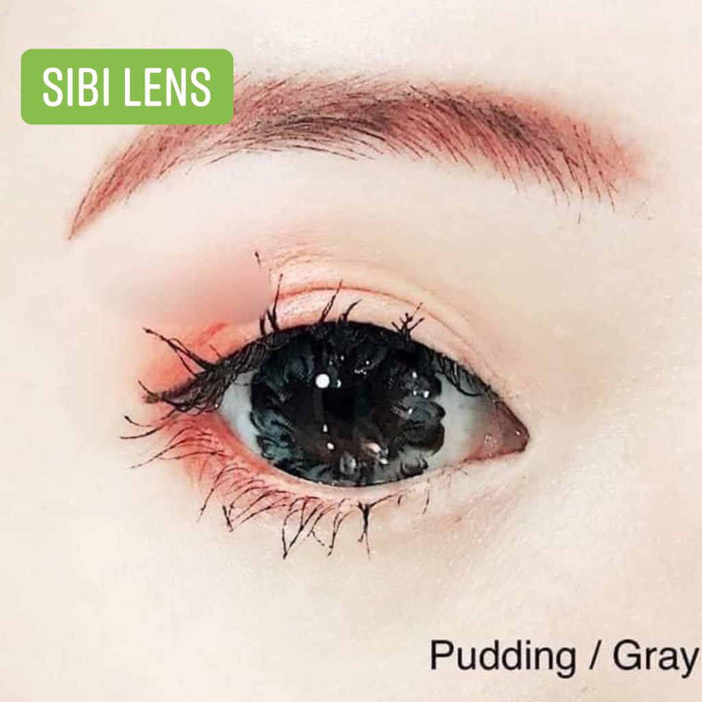 Lens Pudding gray - lens Chuẩn Thái - Cam Kết Chính Hãng