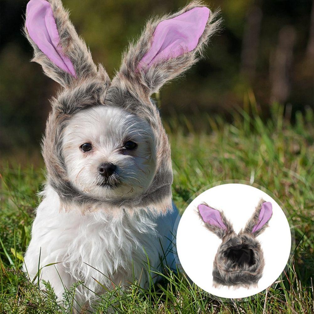 Mũ Tai Thỏ Hóa Trang Dễ Thương Cho Thú Cưng