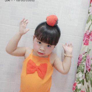 Cài tóc hình thú - Bọ Cánh Cam 🐞