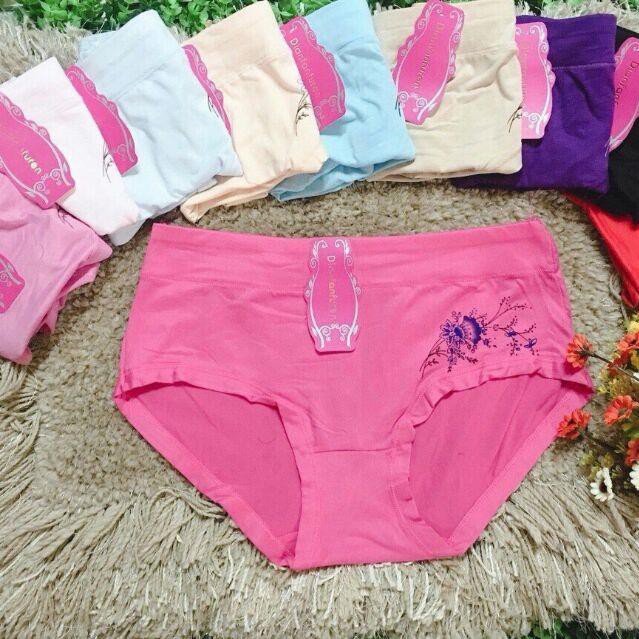 Combo 10 quần cotton cho ng béo