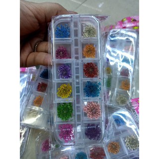 hoa khô chùm ẩn gel