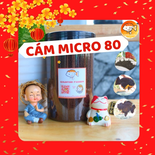 COMBO CÁM CÁ VÀNG + VI SINH E.M TRÁI CÂY VÀ TỎI + VITAMIN C - ĐAM MÊ CÁ VÀNG - CHĂM SÓC TOÀN DIỆN CHO CÁ VÀNG KHỎE MẠNH