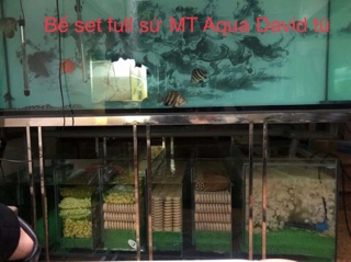 <Vật liệu lọc cao cấp> Sứ Mountain tree mini ring