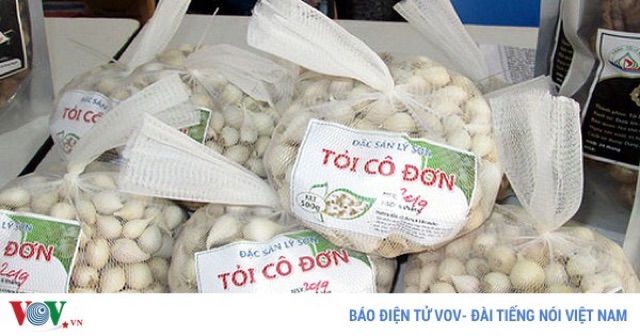 Tỏi cô đơn CHÍNH GỐC 500G👍🏻FREESHIP👍🏻Giảm 10k cho hoá đơn từ 1 triệu - Đặc sản Lý Sơn Quảng Ngãi