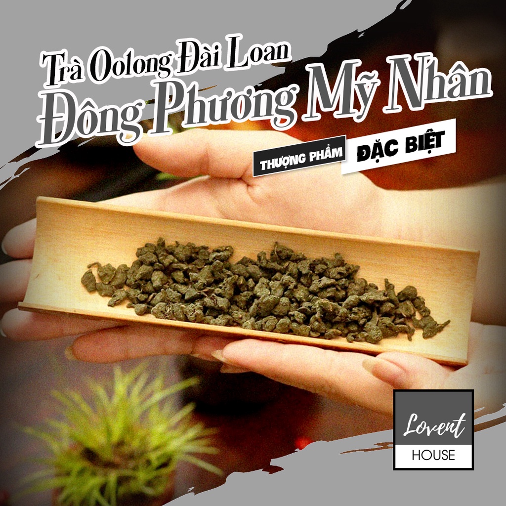 Trà Oolong nhân sâm Đông Phương Mỹ Nhân - 100g Hương Lan nồng hậu, ngọt mùi trái chín [Lovent House]