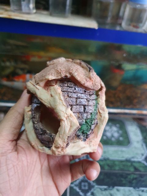 CẢNH NHÀ TRANG TRÍ HỒ CÁ NON BỘ CAO 8CM