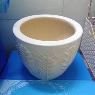 Chậu Sứ Trắng hình bông lúa KT: R.16.5 x C.14 x Đ.11cm