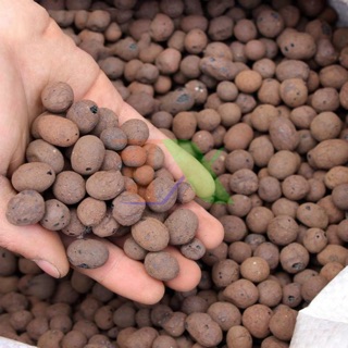 Đất sét nung sỏi nhẹ 1kg/bao