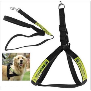 Dây xích cho cún to