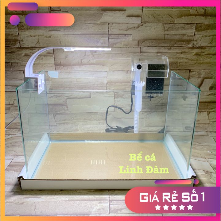 Bể Cá Cảnh Mini Để Bàn Dài 40cm- Kính Đúc Bo Góc Đẹp