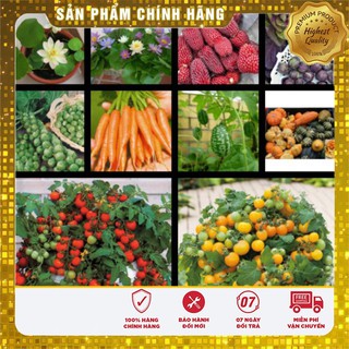 -59k Combo hạt giống rau hoa mini siêu Kute LUCKY