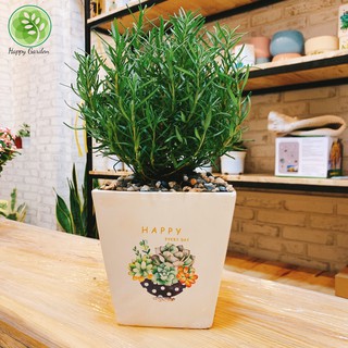 Cây Hương Thảo