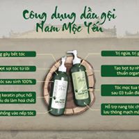 COMBO DẦU GỘI - XẢ NAM MỘC YẾN