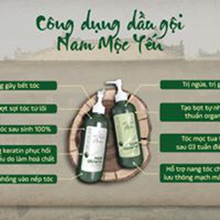 COMBO DẦU GỘI - XẢ NAM MỘC YẾN
