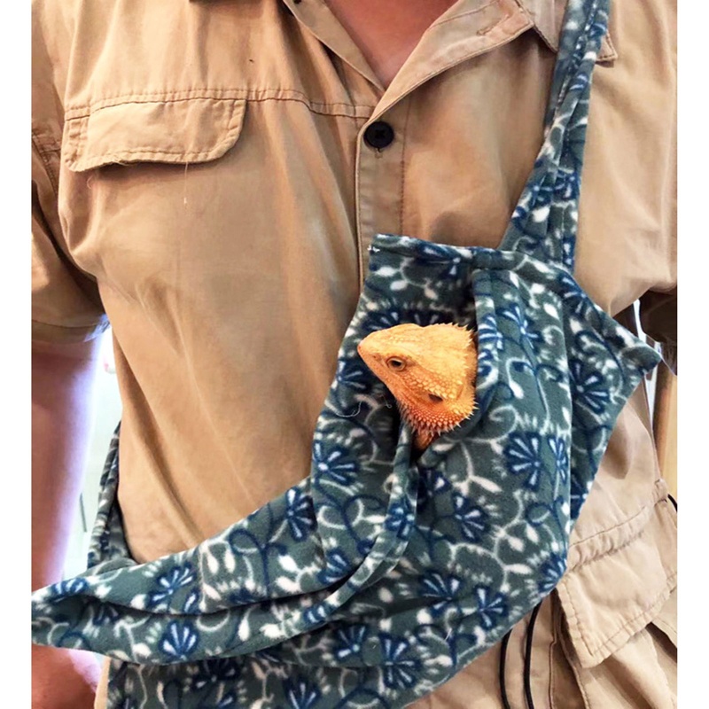 Bộ Dây Dắt Thằn Lằn May Mắn Kèm Túi Đựng Có Cánh Có Thể Điều Chỉnh Mang