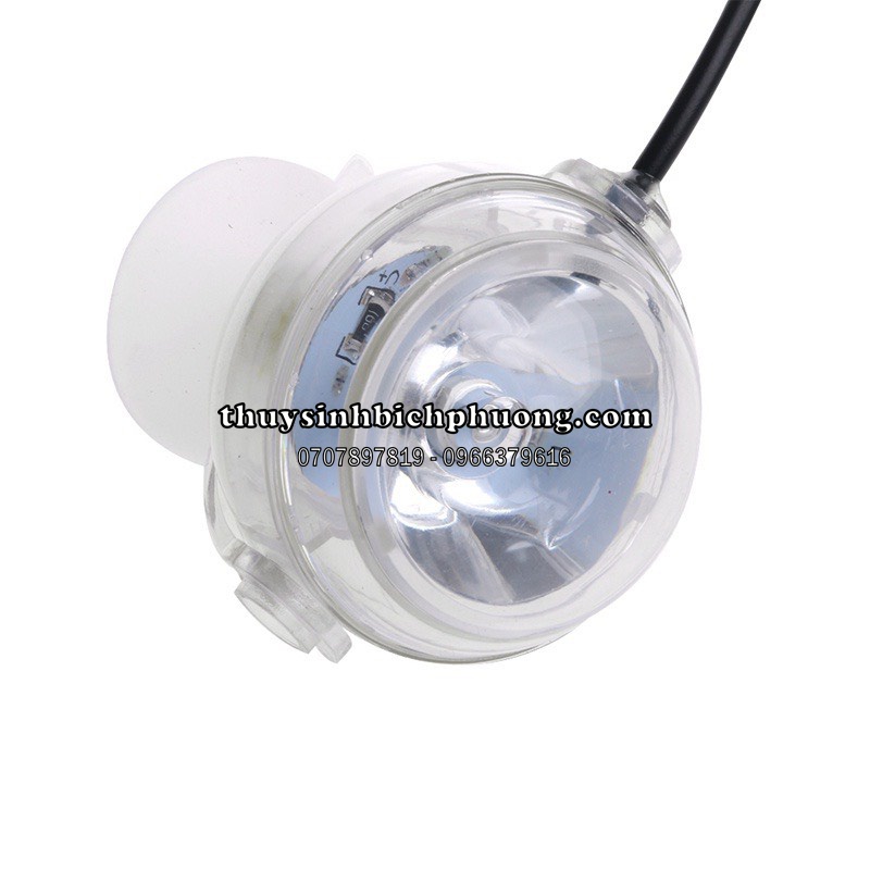 ĐÈN LED RỌI CHIẾU ĐIỂM CHÌM TRONG NƯỚC - TĂNG ĐIỂM VÀNG CHO BỐ CỤC HỒ CÁ THỦY SINH