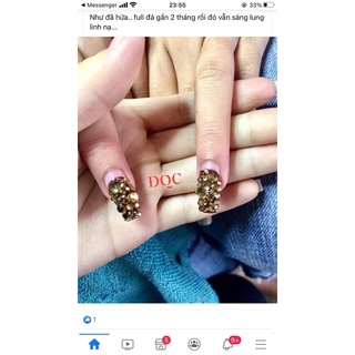 liên kết, sơn bóng hãng tp