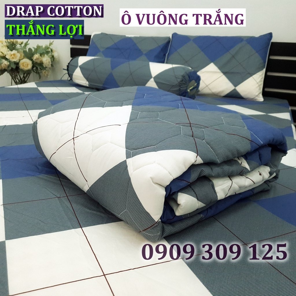 bộ ga Thắng lợi cotton, ga giường IN LOGO (4 món) (mẫu ô xanh xám) ảnh thật