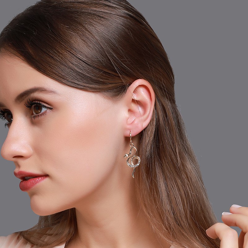 Full Diamond Solid Shaped Long Mesh Earrings