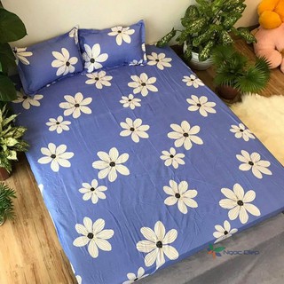 Ga gối cotton poly hoa bèo m6 / m8