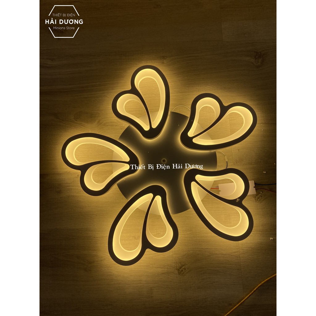 Đèn Ốp Trần Decor 5 Cánh Bướm NT021 - 3 Chế Độ Ánh Sáng - Tăng Giảm Ánh Sáng - Điều Khiển Từ Xa - Bảo Hành 1 Năm