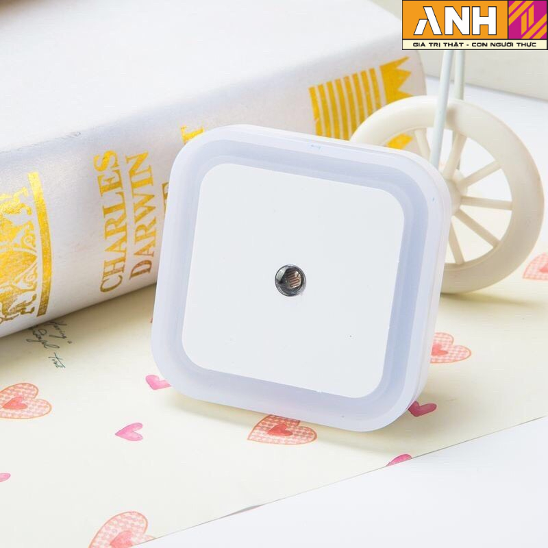 GIÁ RẺ Đèn ngủ cảm biến cảm ứng tự động tắt tự động sáng vàng trắng hồng xanh