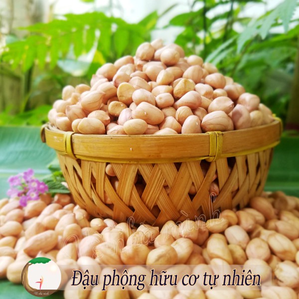 HẠT ĐẬU PHỘNG SỐNG HỮU CƠ TỰ NHIÊN 500g nguyên vỏ canh tác theo mùa vụ, không chất bảo quản