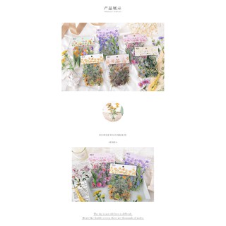 Sticker túi hoa lá