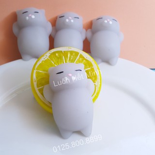 zSquishy Mochi Mèo Xámt