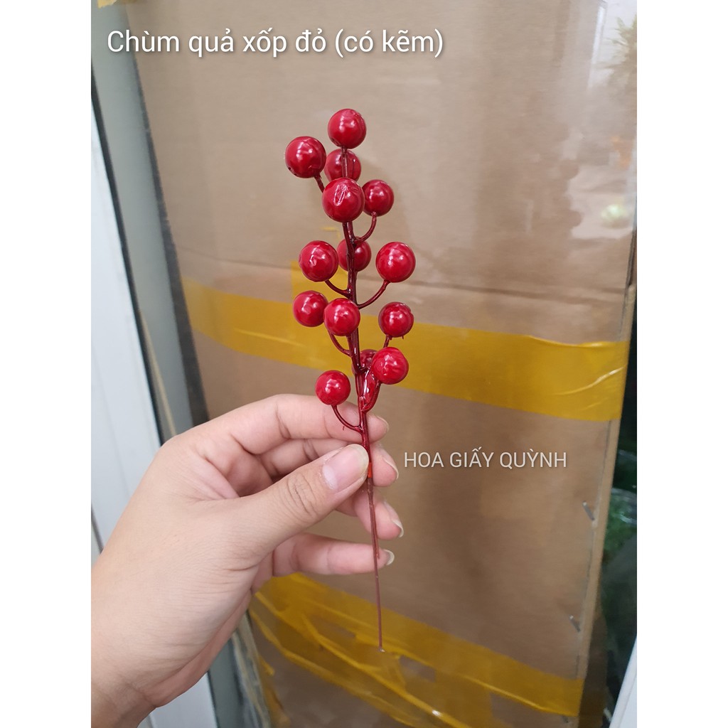 10 nhánh quả đào đông đỏ/Cherry