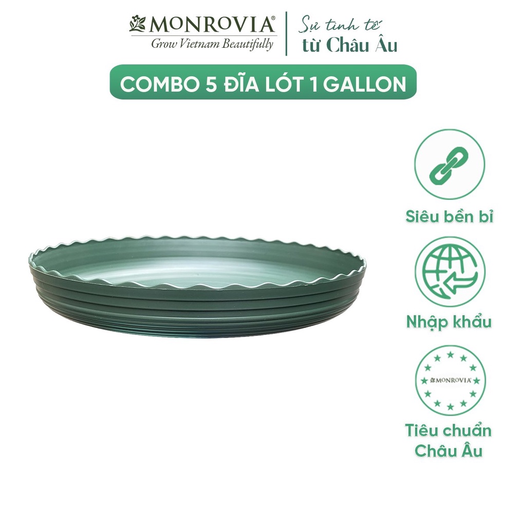 Combo 5 Đĩa lót chậu nhựa trồng cây MONROVIA 1gl, chậu trồng cây, chậu cây cảnh mini, để bàn, treo ban công, treo tường