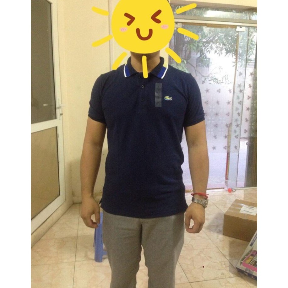 Áo thun cá sấu siêu phẩm hàng xuất dư