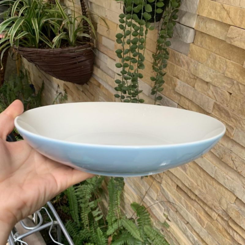 Đĩa sứ ảo 9 sâu .23 cm