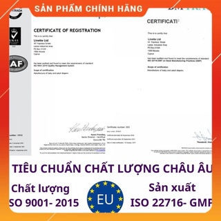 Tã bỉm DÁN người già TENDER 15 miếng (Cho người lớn)