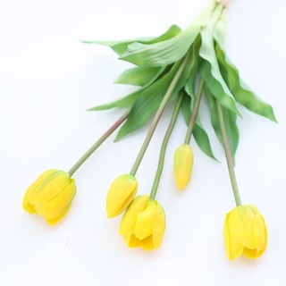 BÓ 5 CÀNH HOA TULIP CAO CẤP
