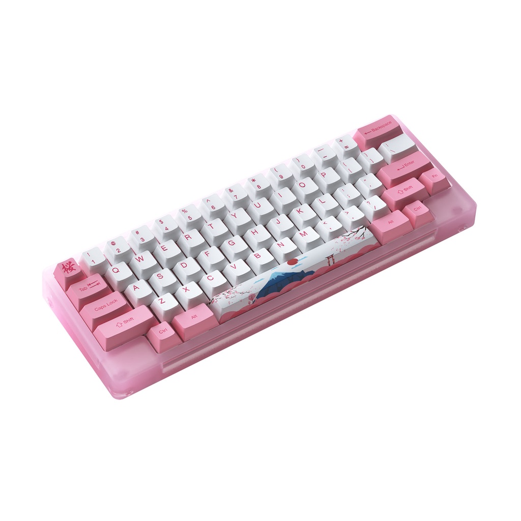 Bàn phím cơ AKKO ACR59 Pink (Hotswap / RGB / AKKO cs switch Jelly Pink)