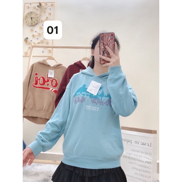 Áo nữ hoodie nữ nỉ bông