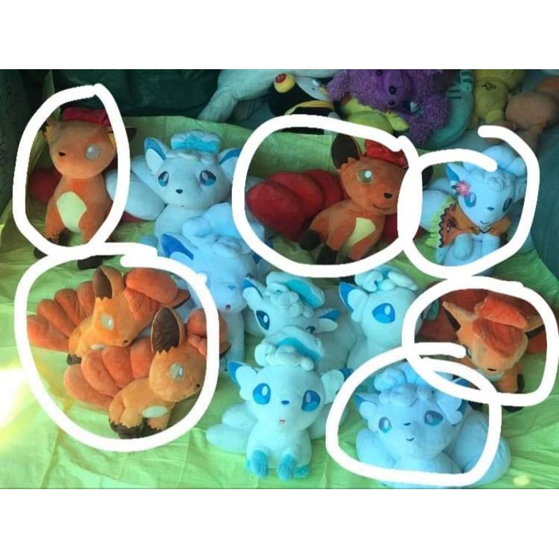 combo 7 con chồn