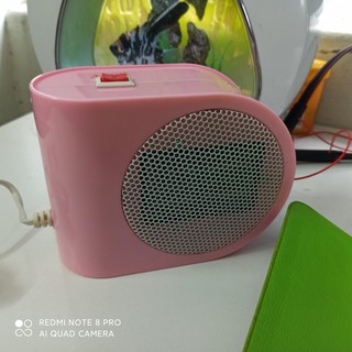 Mic Karaoke D998