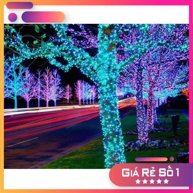 Dây nháy led đào quất, dây đèn trang trí