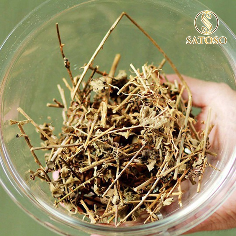 Cà gai leo túi lọc SATOSO 250g hỗ trợ bảo vệ lá Gan tốt cho sức khỏe SA15