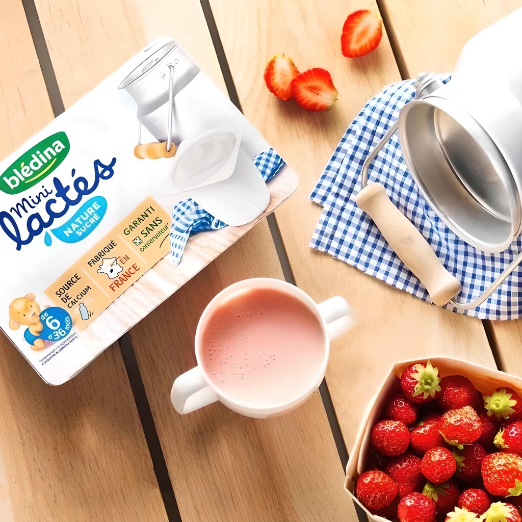 Sữa Chua Ăn Dặm Trẻ Em BLÉDINA LACTES Nhập Khẩu Pháp Các Vị Trái Cây