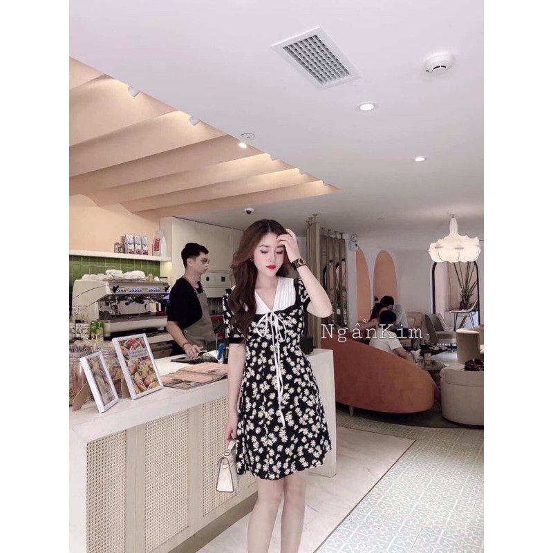 Váy cúc hoạ mi cổ trắng